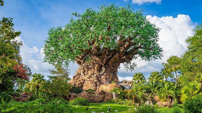 Árvore da Vida no parque Animal Kingdom da Disney Orlando