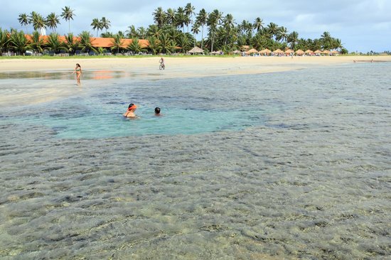 Melhores praias em Porto de Galinhas