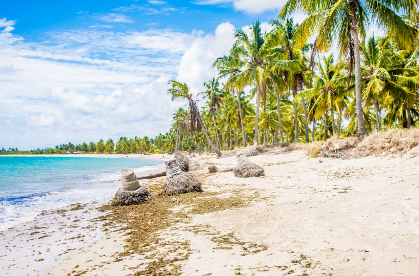 Excursão à Praia do Gravatá saindo de Porto de Galinhas