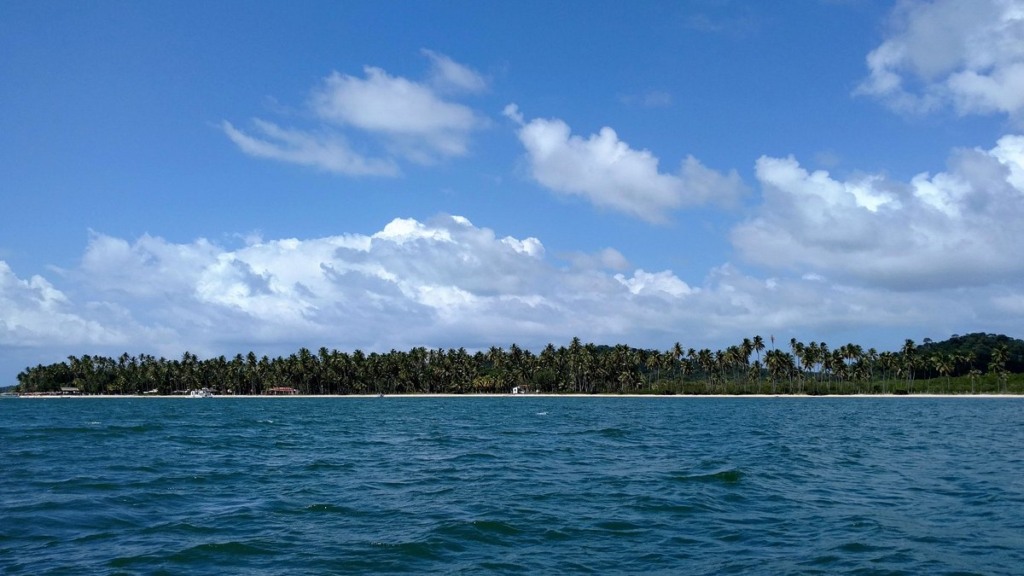 Excursão à Praia dos Carneiros saindo de Recife