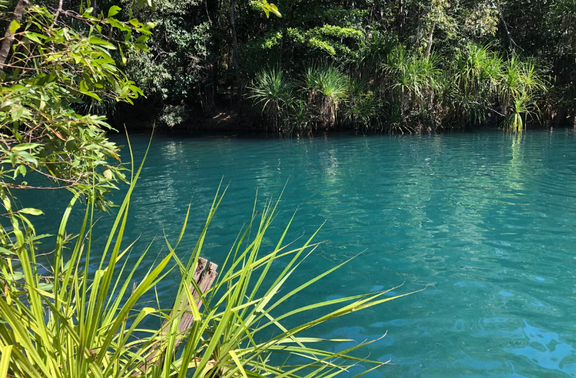 Excursão ao Arroyo Tagatiyá