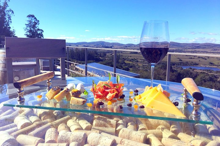 Degustação na bodega Viña Edén