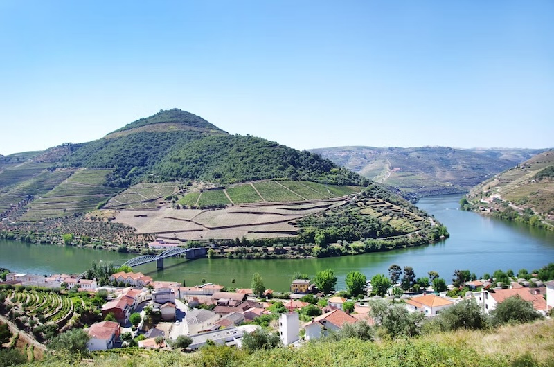 Tour vinícolas região do Porto