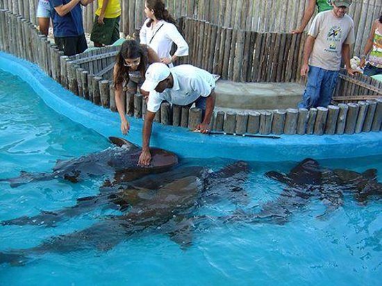 Oceanário de Aracaju