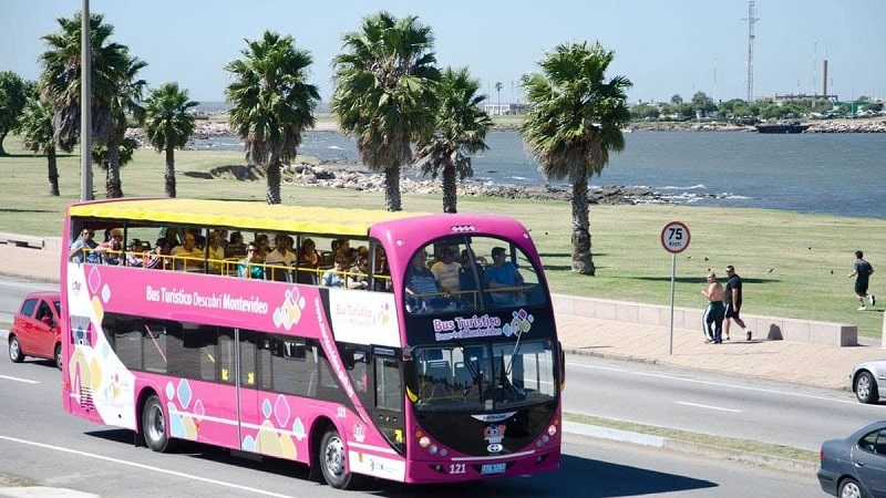 Tudo sobre o passeio de ônibus turístico em Montevidéu