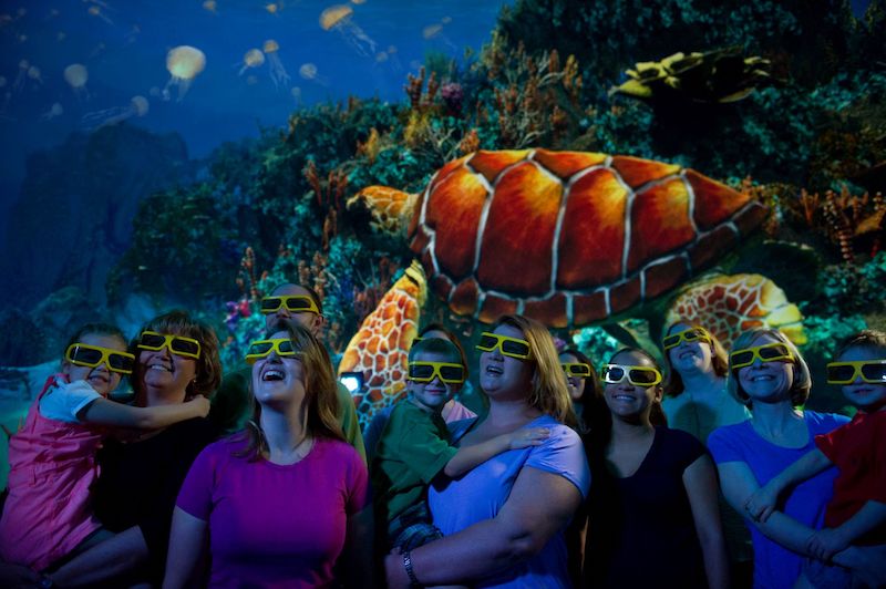 Turtle Trek no SeaWorld em Orlando