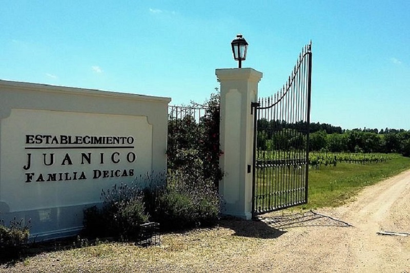 Vinícola Juanicó no Uruguai