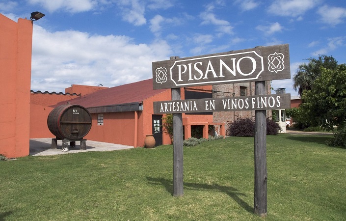 Vinícola Pisano no Uruguai