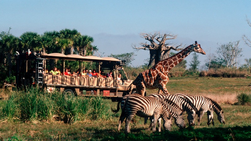 Visitantes e animais no Kilimanjaro Safaris no Animal Kingdom da Disney Orlando