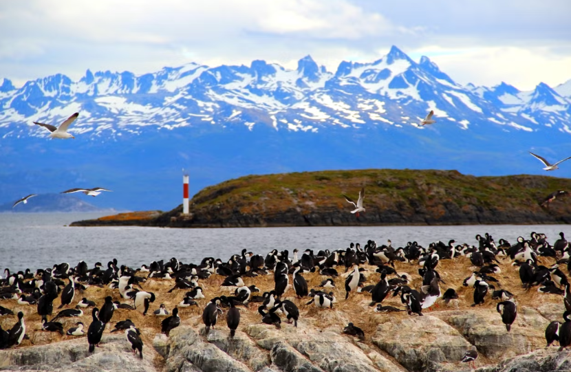 Passeio de iate pelo Canal Beagle 