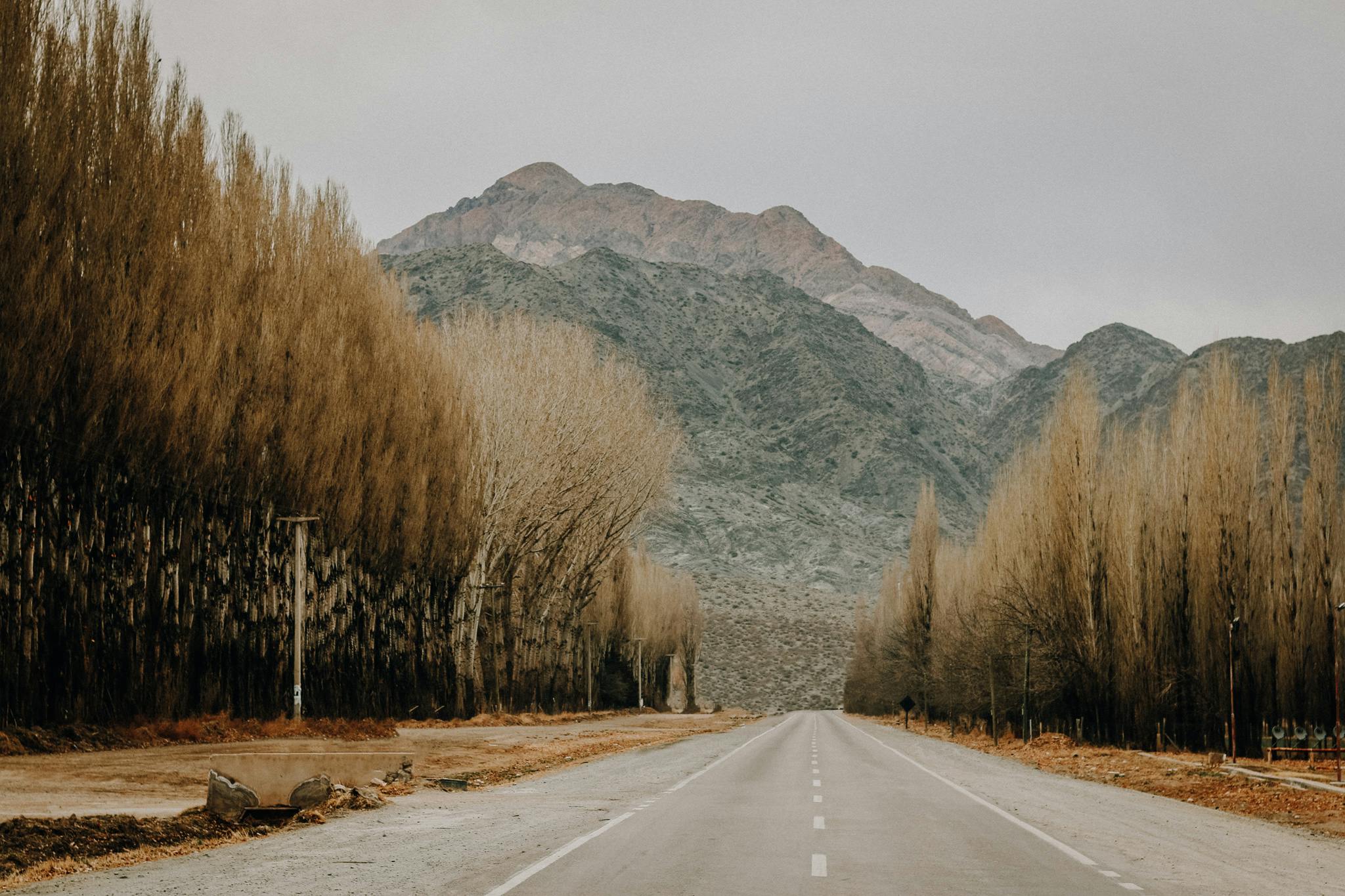 Mendoza em dezembro: Como é o clima e o que fazer!