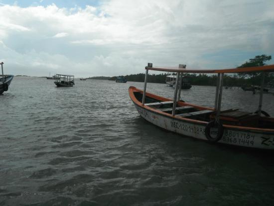 Passeio de mangue Raposa