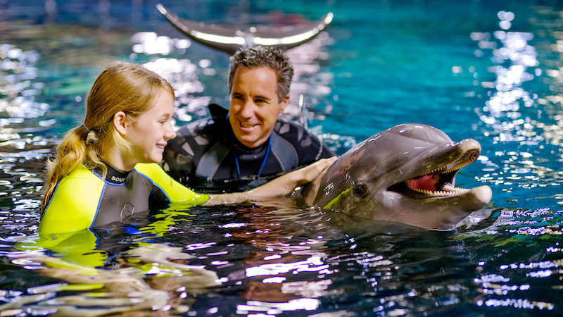 Dolphins in Depth no Epcot da Disney Orlando