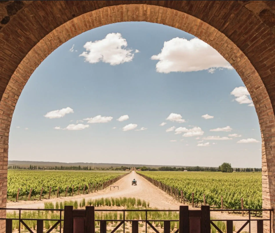 Mendoza em setembro: Como é o clima e o que fazer!