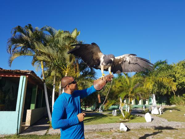 Parque dos Falcões