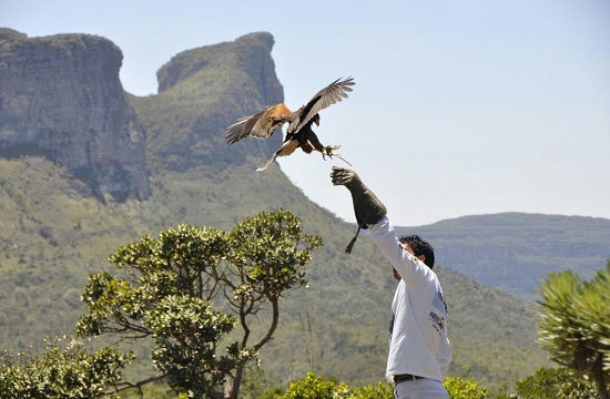 Parque dos Falcões