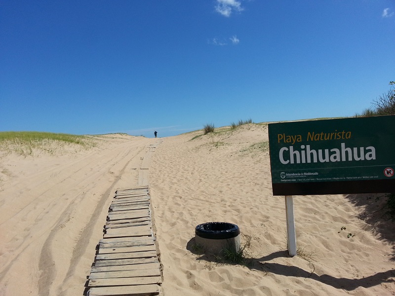 Praia Chihuahua em Punta del Este 