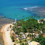 Excursão à Praia do Forte saindo de Aracaju