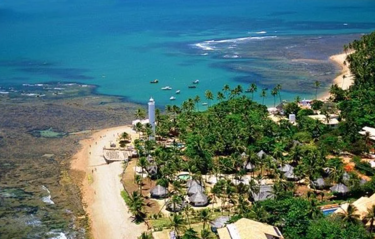 Excursão à Praia do Forte saindo de Aracaju