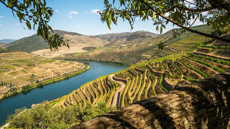 Roteiro pelas vinícolas da Espanha