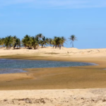 Excursão ao Rio São Francisco saindo de Aracaju