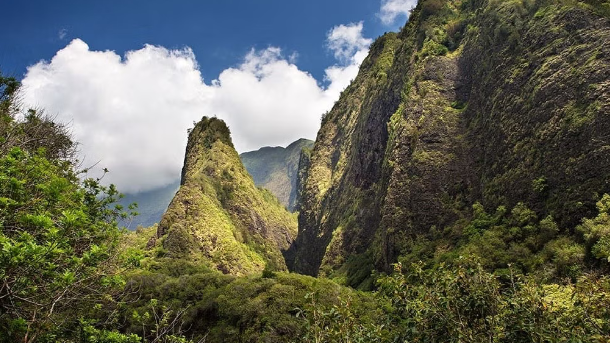 Tour ao redor da ilha de Maui no Havaí