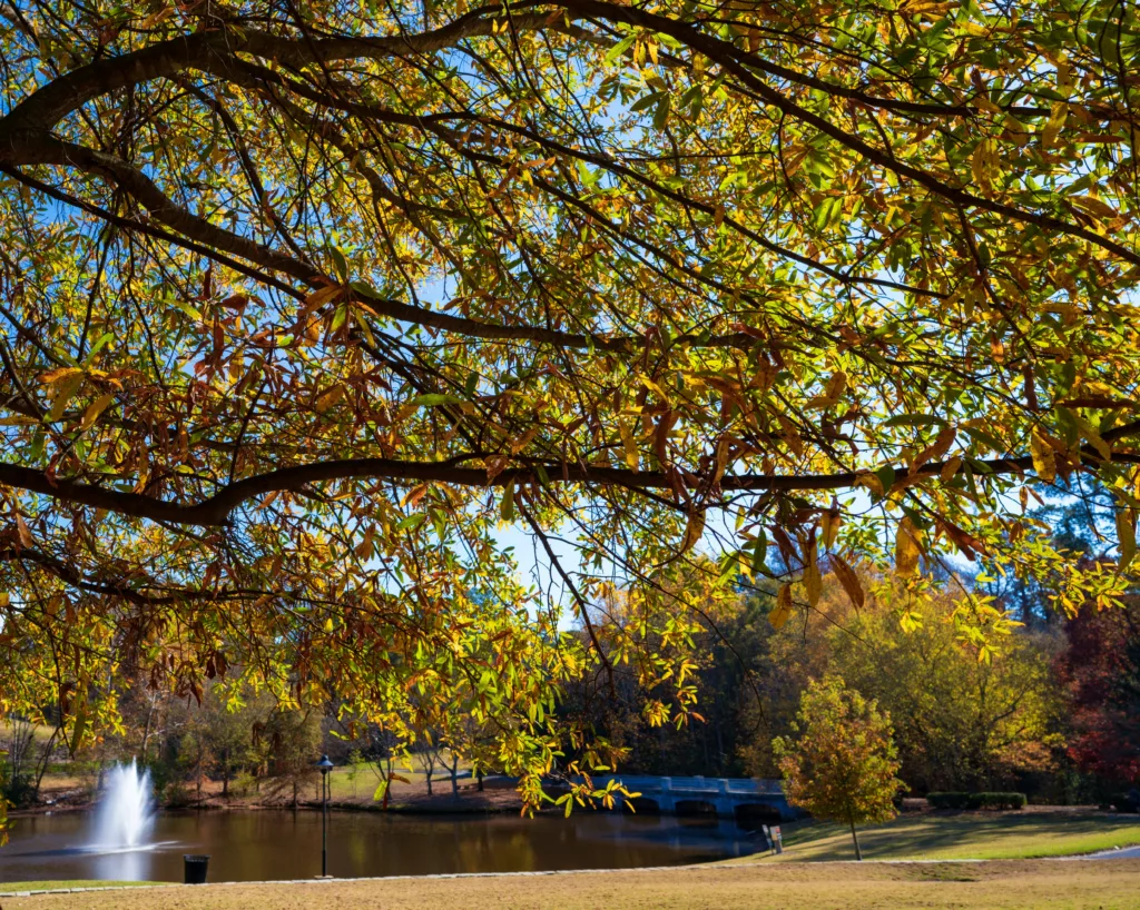 Parque em Atlanta