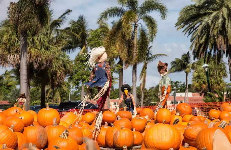 Festa de Halloween em Miami