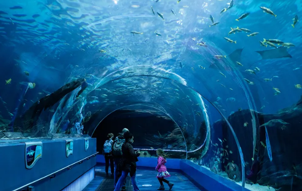 Georgia Aquarium em Atlanta