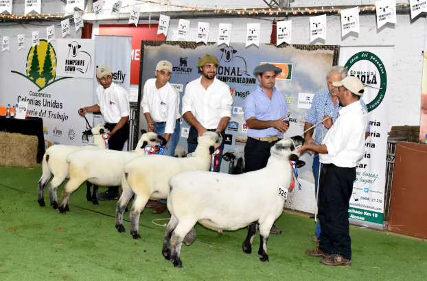 Expo Feria de Ovinos y Caprinos