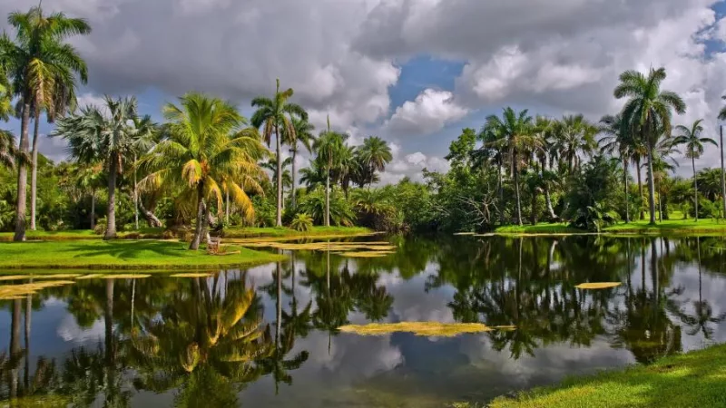 Plantas no Fairchild Tropical Botanic Garden em Miami