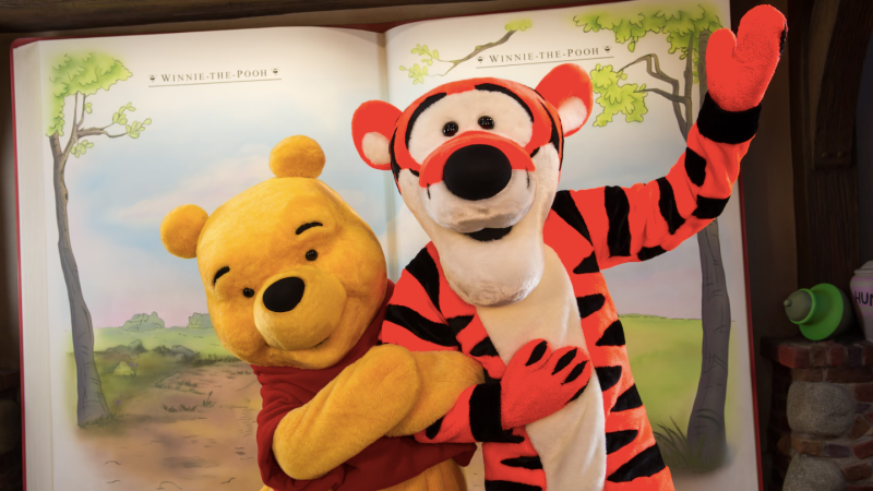 Pooh e Tigrão na Disney Orlando