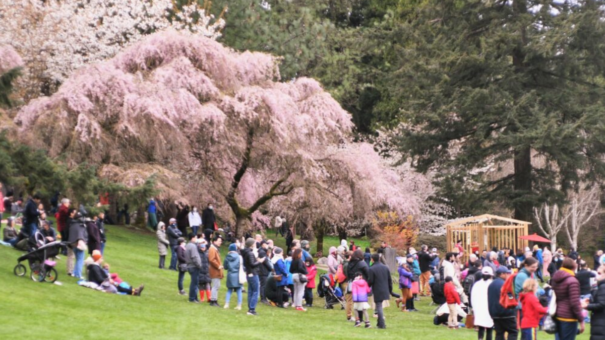 Vancouver em abril: Como é o clima e o que fazer!