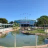 Flamingos no Miami Seaquarium