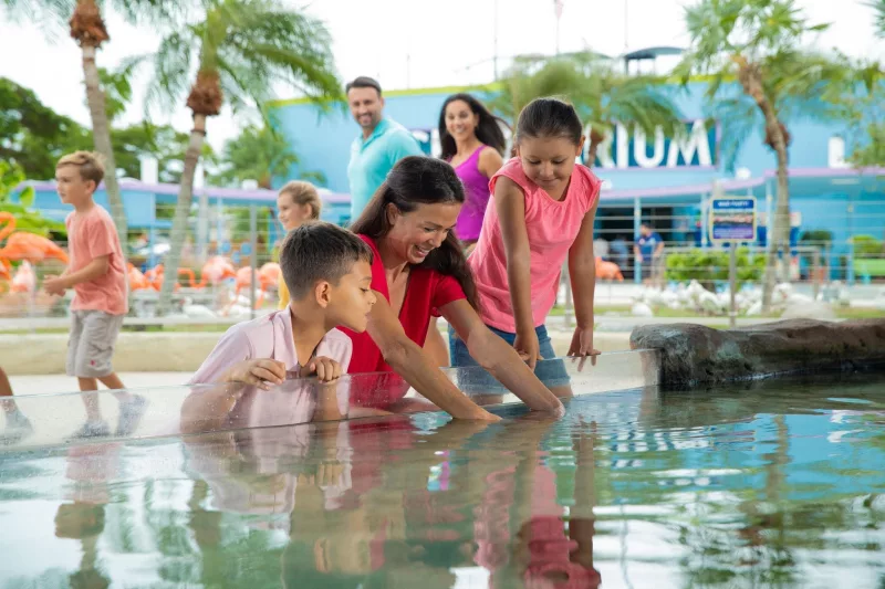 Interatividade com visitantes no Miami Seaquarium