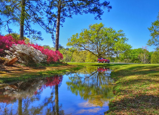 Callaway Gardens 