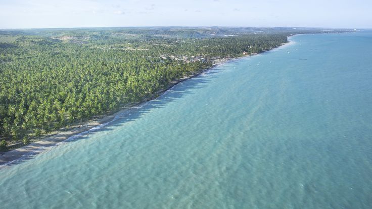 Praia de Xaréu em Maragogi