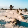 Como chegar a Jericoacoara?