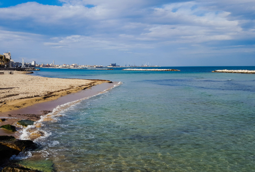 Praias Em Bari Guia Completo Das Melhores 2026 Grupo Dicas De Viagem Praias Em Bari Guia Completo Das Melhores 2026 Grupo Dicas De Viagem
