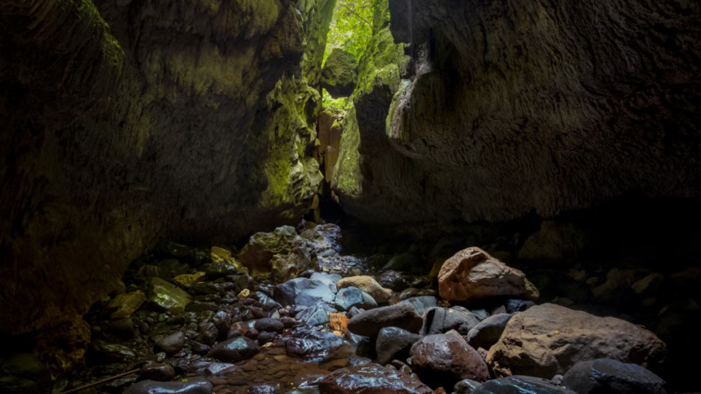 Grutas de Bayano