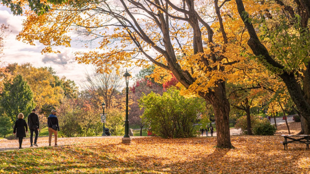 Quebec em setembro: Como é o clima e o que fazer!