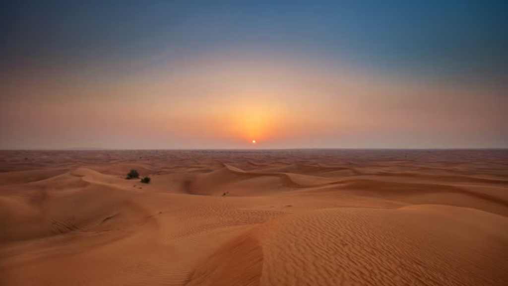 Safári à noite em Dubai