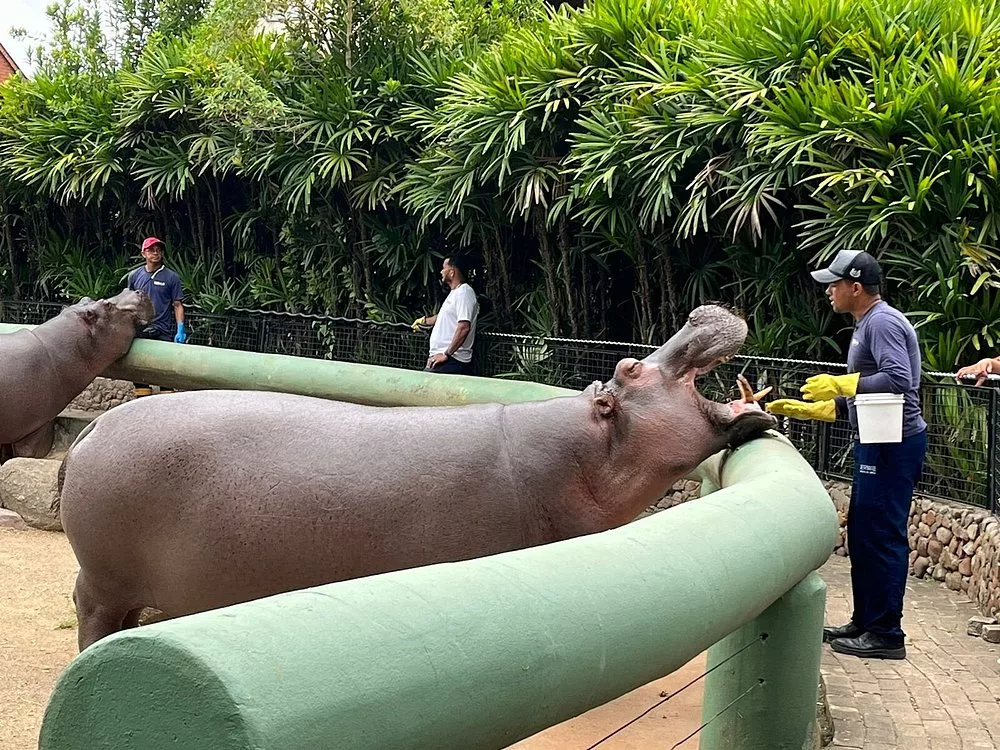 O Zoo Pomerode é o passeio perfeito para levar as crianças