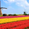 Paisagem na Holanda