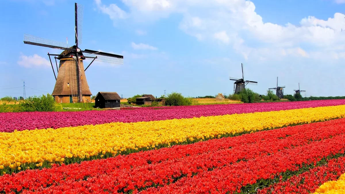 Paisagem na Holanda