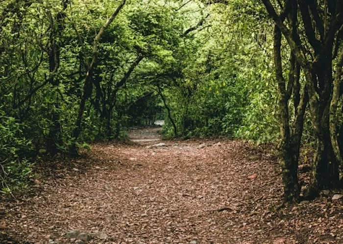 Parque Estadual da Mata da Pipa