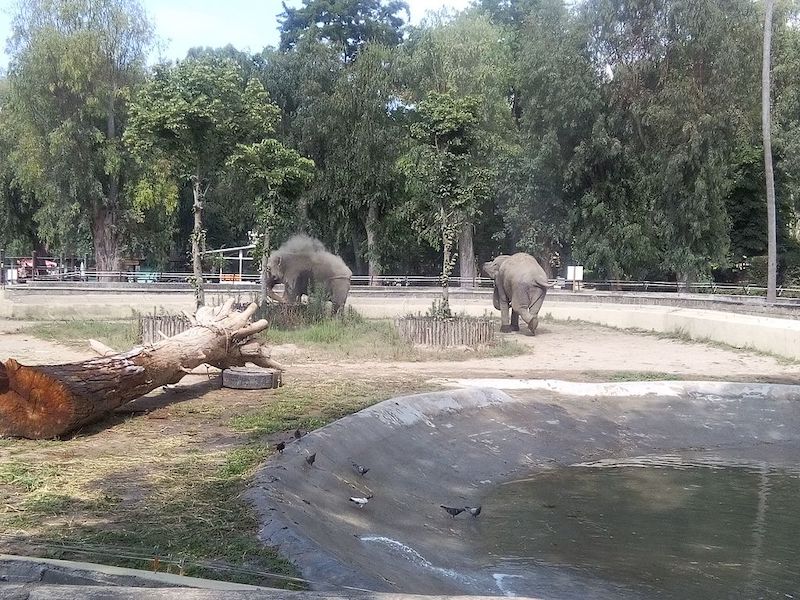 Zoo di Napoli - Zoológico de Nápoles