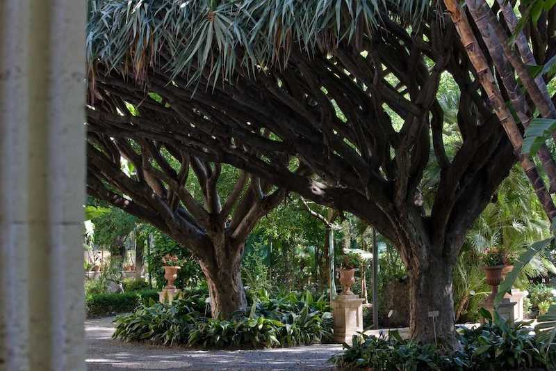 Orto Botanico di Catania