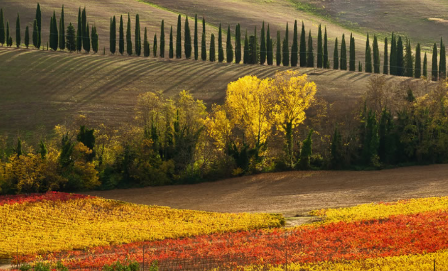 Primavera em San Gimignano