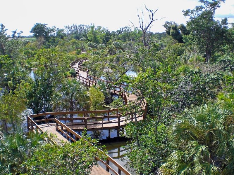 Daggerwing Nature Center em Boca Raton